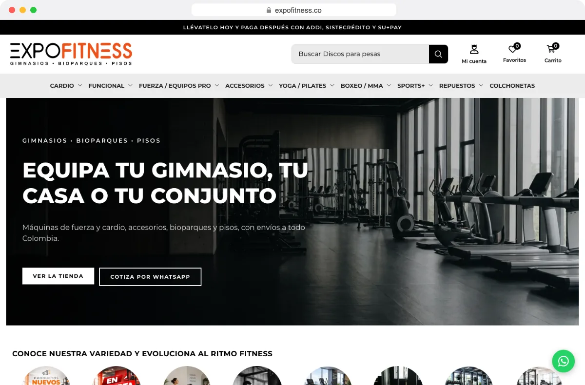 expofitness.co website designed by Dox Studio
